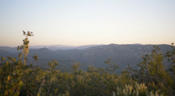 Landscape view